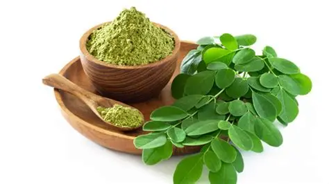 Moringa en Poudre