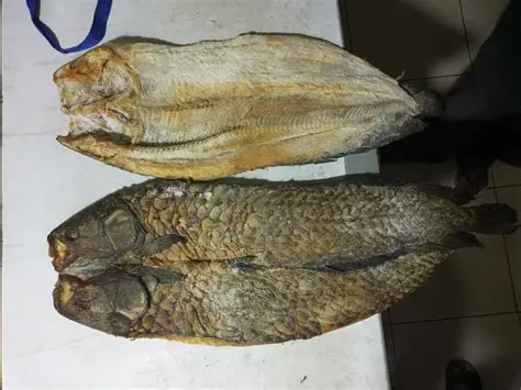 Congo ya Sika 1kg